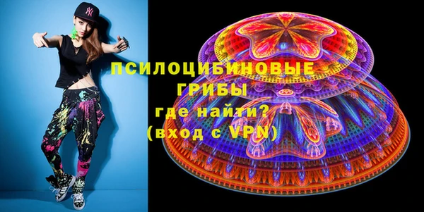 соль ск Лиски