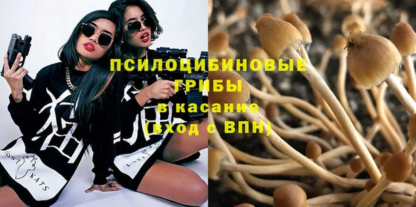 стафф Липки