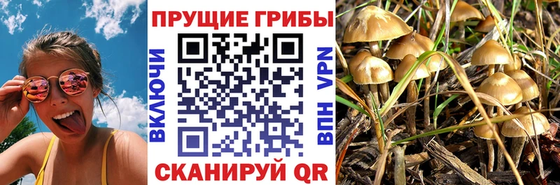 Купить где  Новосокольники  Галлюциногенные грибы мухоморы 